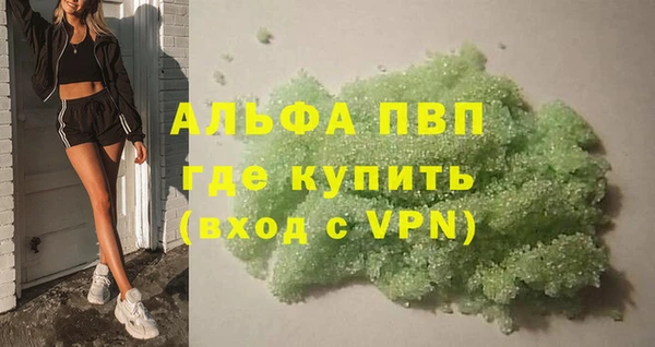 сатива Аркадак