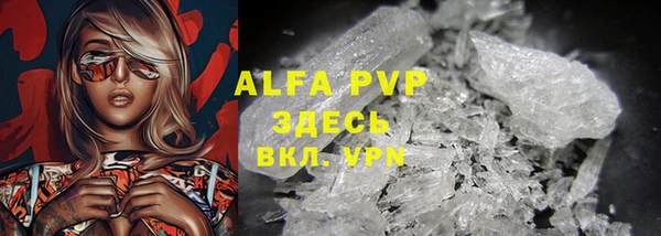 сатива Аркадак