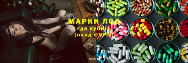 сатива Аркадак