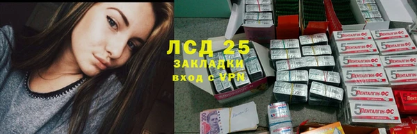 сатива Аркадак