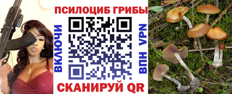 что такое наркотик  Змеиногорск  Галлюциногенные грибы ЛСД 